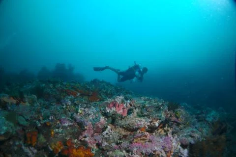 Diving into deep sea Stock Photos