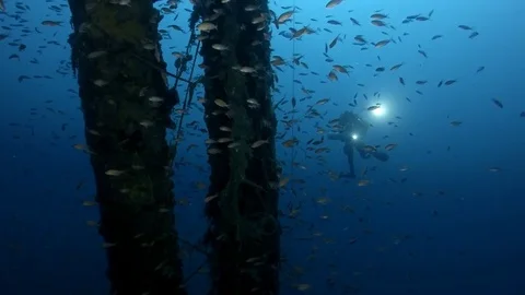 Diving on the deep wreck Stock Footage 81706107