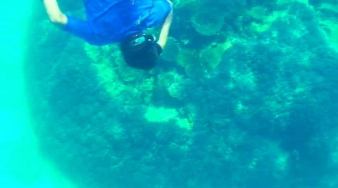 Diving down Stock Footage 331963