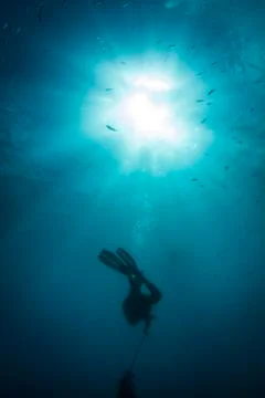 Diving down the rope Stock Photos