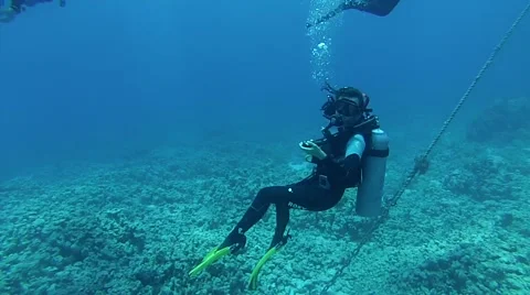 Diving in Egupt Stock Footage 40934719