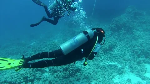 Diving in Egupt Stock Footage 40934743