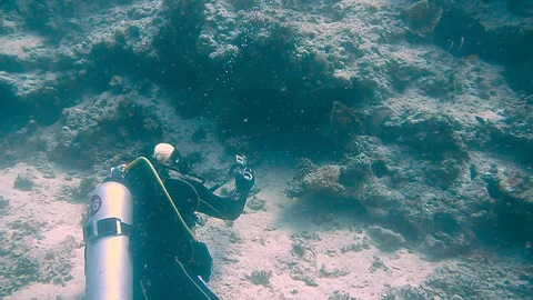 Diving Egypt red sea fish and corals Vídeo Stock 111340666