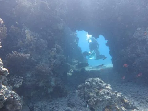 Diving in eilat Foto stock