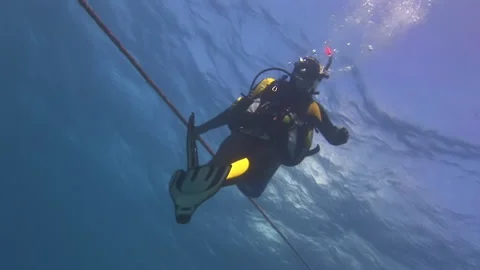 Diving enthusiasts swim below surface and gaze at their surroundings. Stock Footage 235651060