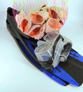 Diving equipment and shellfish in a net Stock Photos