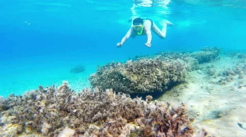 Diving in the Exotic Sea Stock Footage 58762197