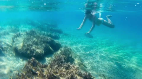Diving in the Exotic Sea Stock-Footage 58762300