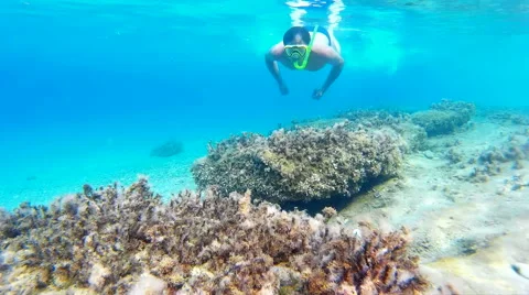 Diving in the exotic seas Stock-Footage 42568257