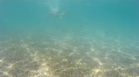 Diving in the exotic seas Stock-Footage 42599698