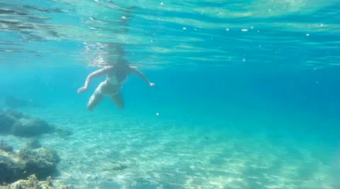 Diving in the exotic seas Stock-Footage 42653709