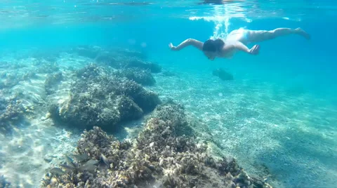 Diving in the exotic seas Stock Footage 42672175
