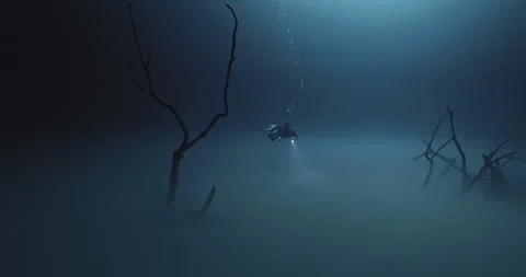Diving in the fog in Yucatan Stock Footage 270132155
