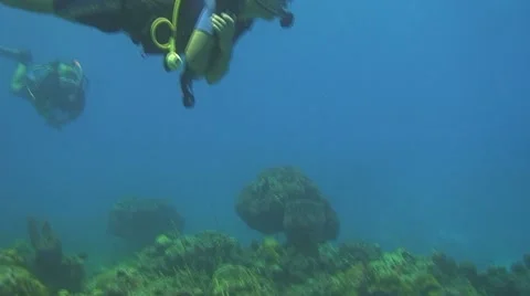 Diving Stock Footage