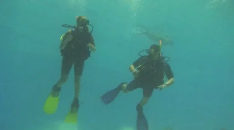 Diving Stock Footage