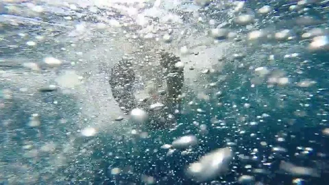 Diving Stock Footage 89656947