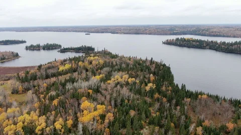 Diving into the Forest at Around Falcon Lake Stock Footage 122322553
