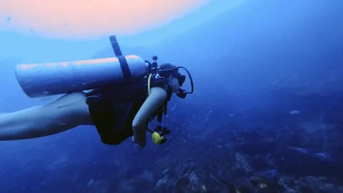 Diving girl observing the reef Stock Footage 258654600