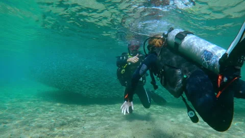 Diving guide and beginner prepare for an underwater adventure, massive school of Stock Footage 329102074