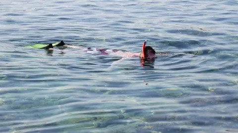 Diving holidays at Red sea Video stock 76026043