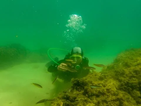 Diving in houcima bay Stock Photos