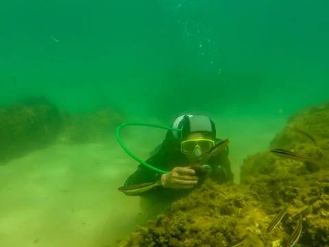 Diving in houcima bay Stock Photos