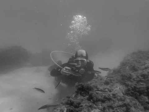 Diving in houcima bay Stock Photos