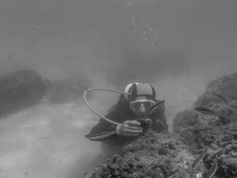 Diving in houcima bay Stock Photos