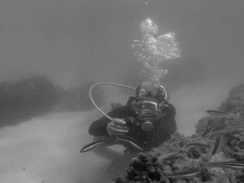 Diving in houcima bay Stock Photos
