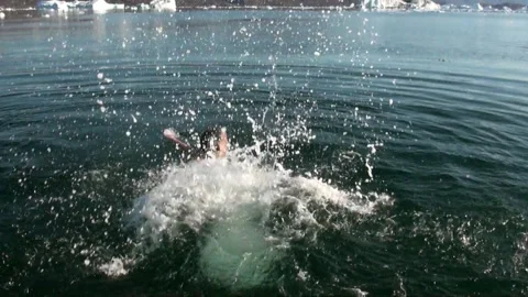Diving Into Icy Waters of Iceland for an Invigorating Swim Video stock 321063916