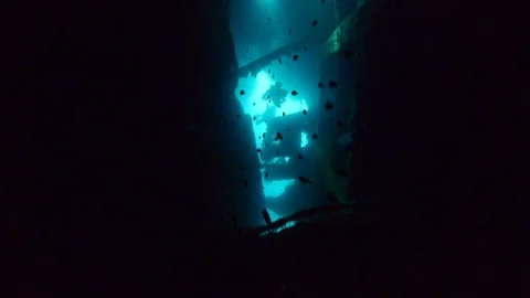 Diving inside the hull of sunken Japanese ship from World War 2 Video stock 121835208