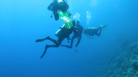 Diving instructor and group students in underwater exercise. Stock Footage 195657281