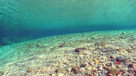 Diving in the lake 017 Stock Footage 47968530