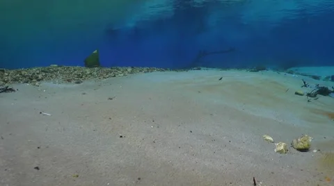 Diving in the lake 018 Stock Footage 47968504