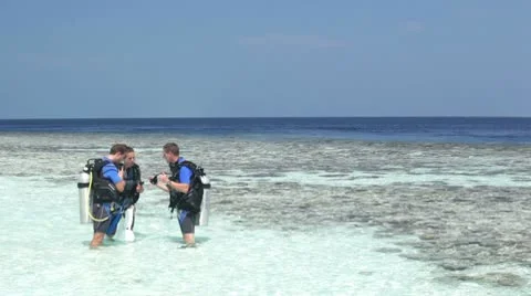 Diving lesson in tropical lagoon Stock Footage 10788376
