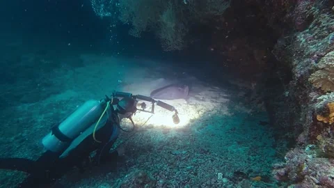 Diving Maldives Sub 48 Stock Footage 135213494