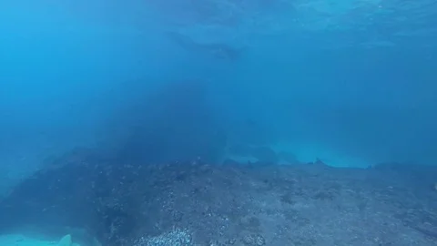 Diving with Manta Ray. Manta point Bali. Indonesia.  Stock Footage 90546684
