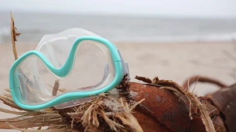 Diving mask lying down on destroyed tree at the beach. 스톡 동영상 103204486