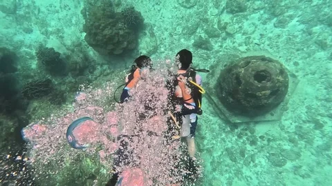 Diving master with beginners in the sea underwater Stock Footage 294652958