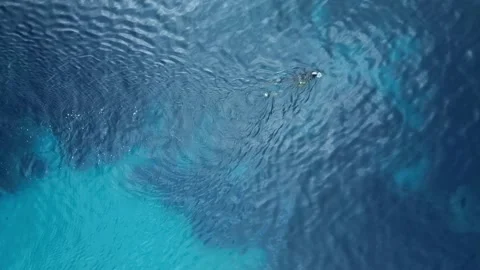 Diving Menorca Vidéo 153146576