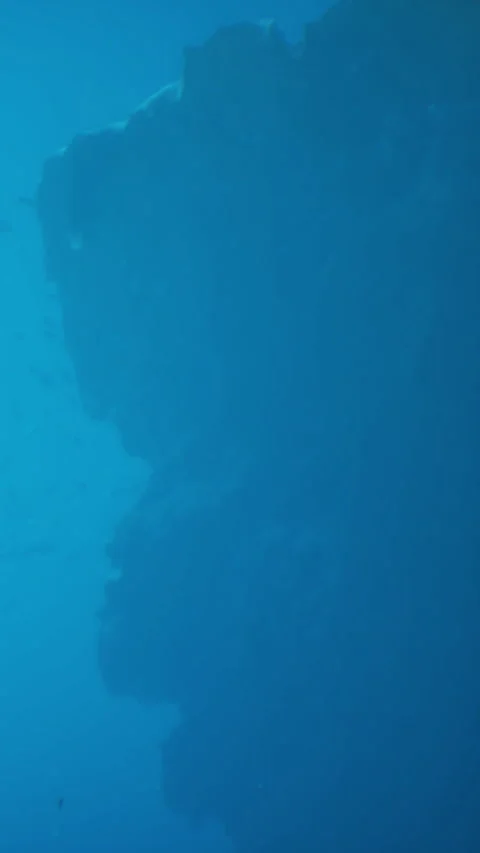 Diving near a large underwater rock formation with clear blue water Stock Footage 342340247