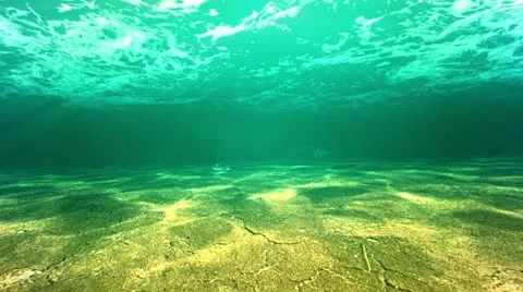 Diving in ocean Stock Footage 11959187