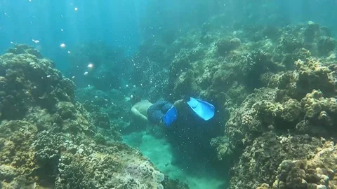 Diving in the ocean of Hawaii Video stock 167859425