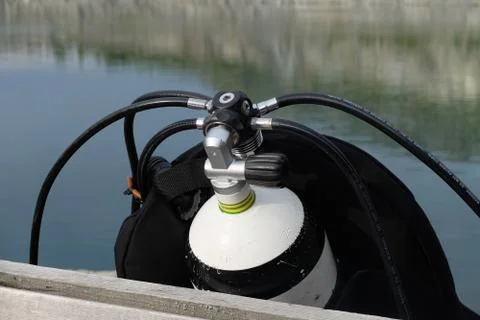 Diving Octopus Stock Photos