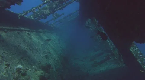 Diving in old ship wreck, red sea Video stock 11114714