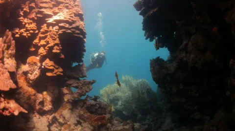 Diving out of cave Stock Footage 537804