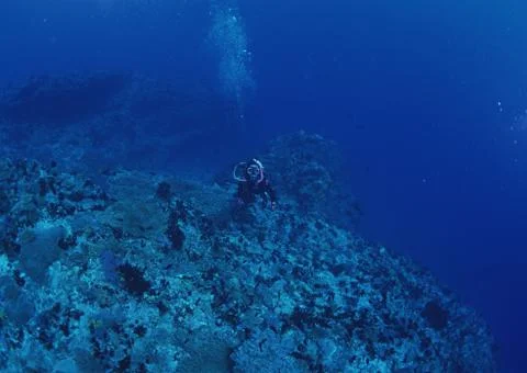 Diving Stock Photos