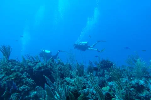 Diving in Puerto Rico Stock Photos