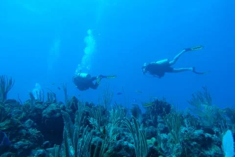 Diving in Puerto Rico Stock Photos