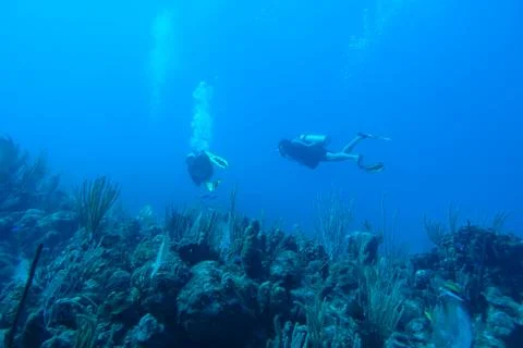 Diving in Puerto Rico Stock Photos